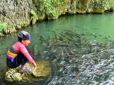 Tour Thanh Hóa 4 ngày 3 đêm